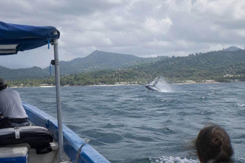 From Puerto Plata, 12 Hours