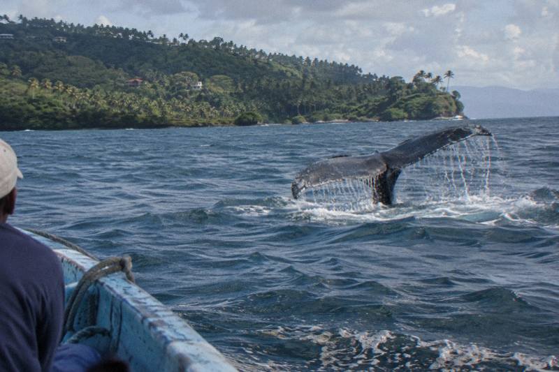 6-Hour From Las Terrenas