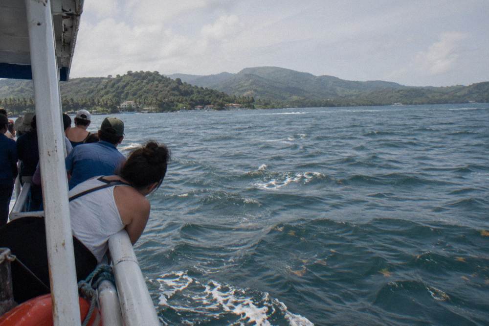 A whale-watching boat holding position on calm open water with passengers along the rail