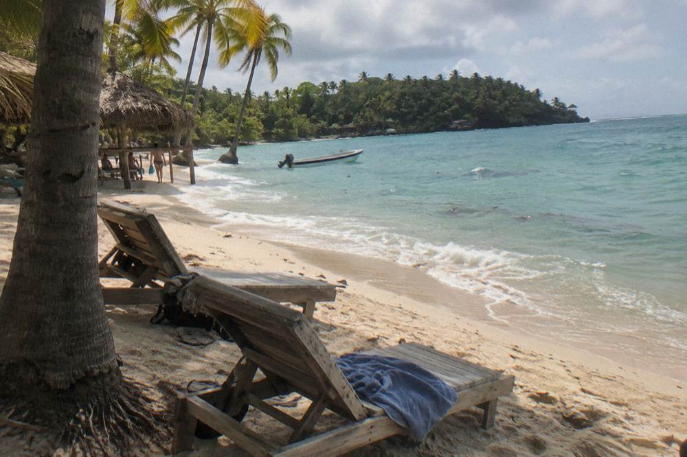 A buffet lunch table with grilled food and tropical fruit set under palm trees near the shore
