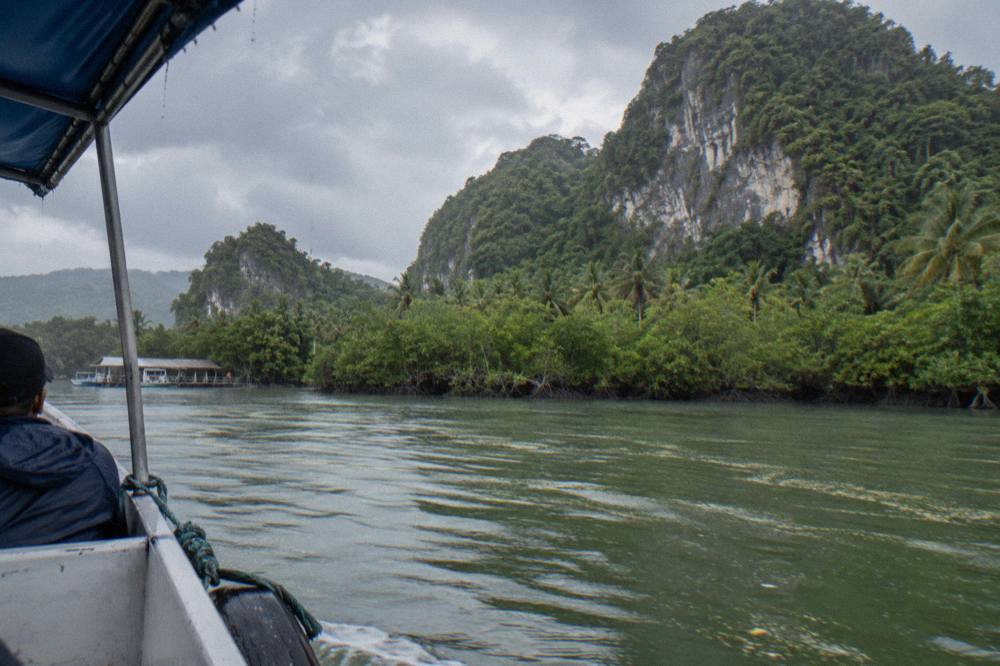 Limestone karst islands with dense mangrove fringe rising from still green water