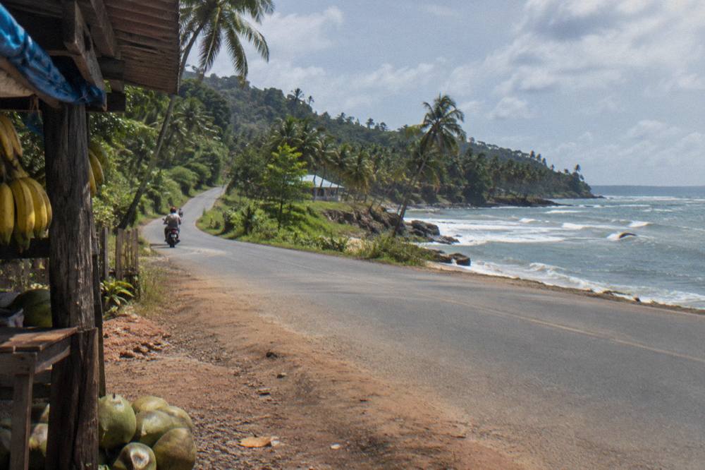 Coastal highway curving between green palm covered hills on the drive toward Samaná