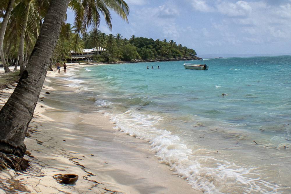 Turquoise water meeting a pale sand beach lined with palm trees