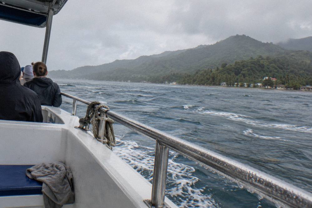 A whale watching boat at slow speed near the green hills of a tropical bay