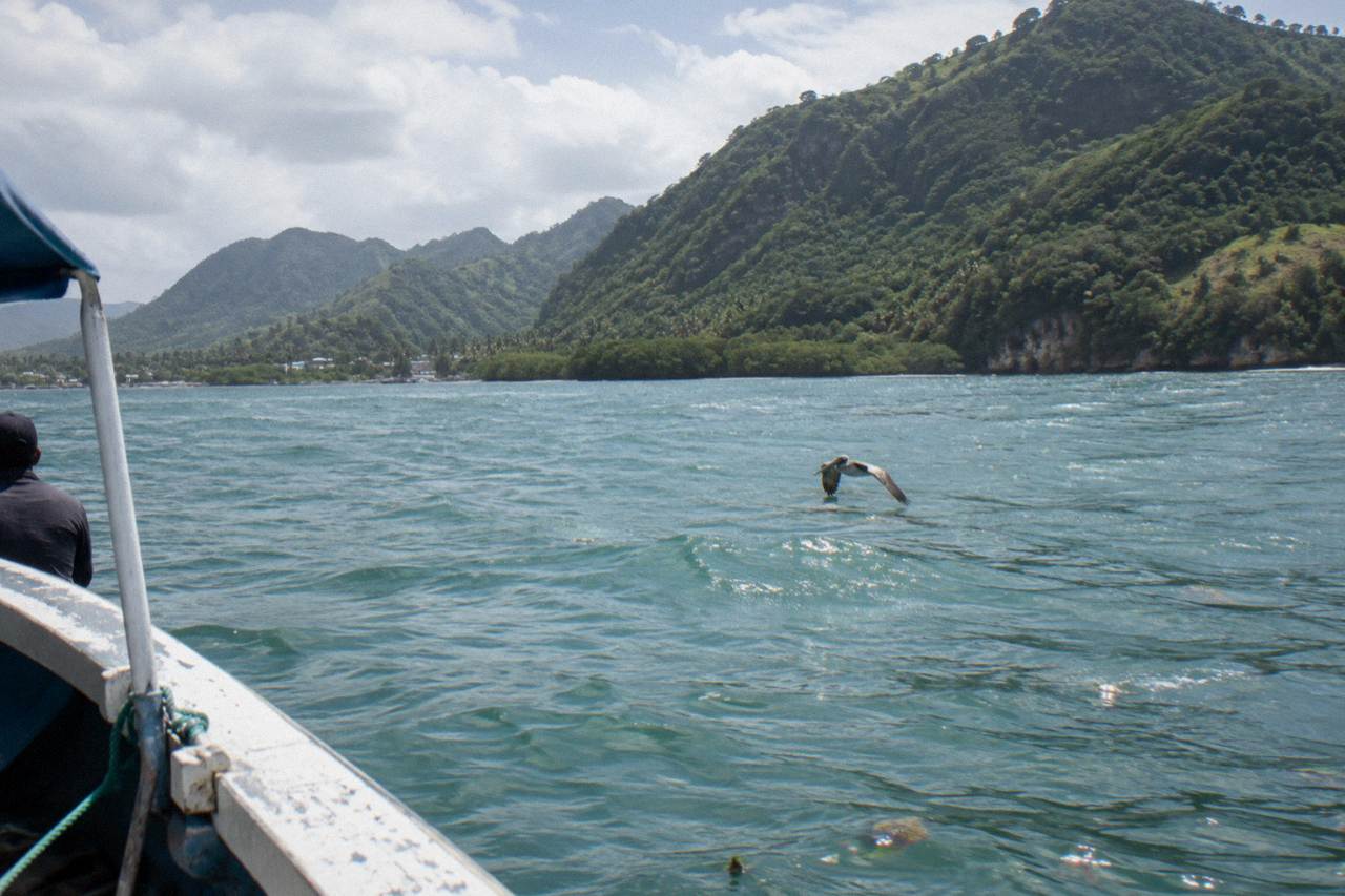 Calm turquoise water of Samaná Bay with forested hills along the shoreline