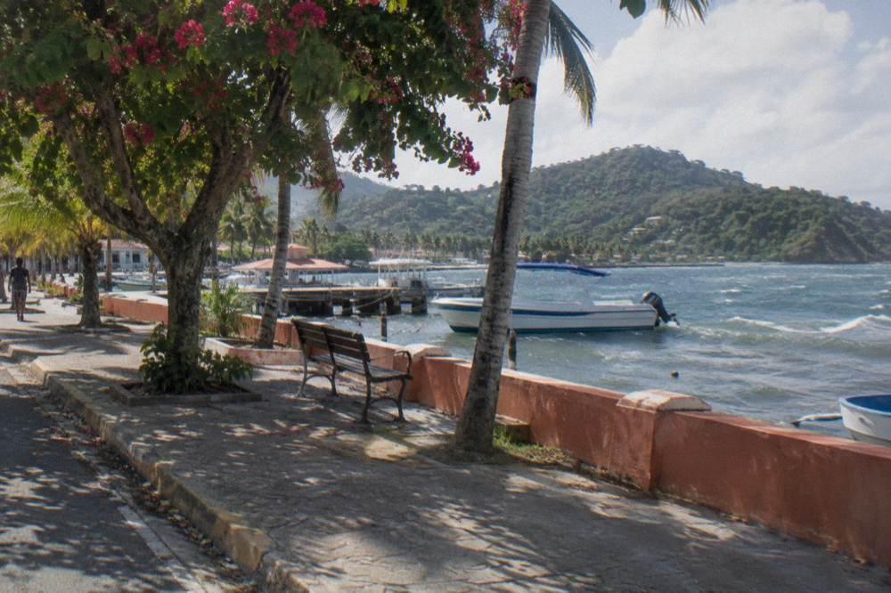 Sunny promenade of Samana town with palm trees along the waterfront