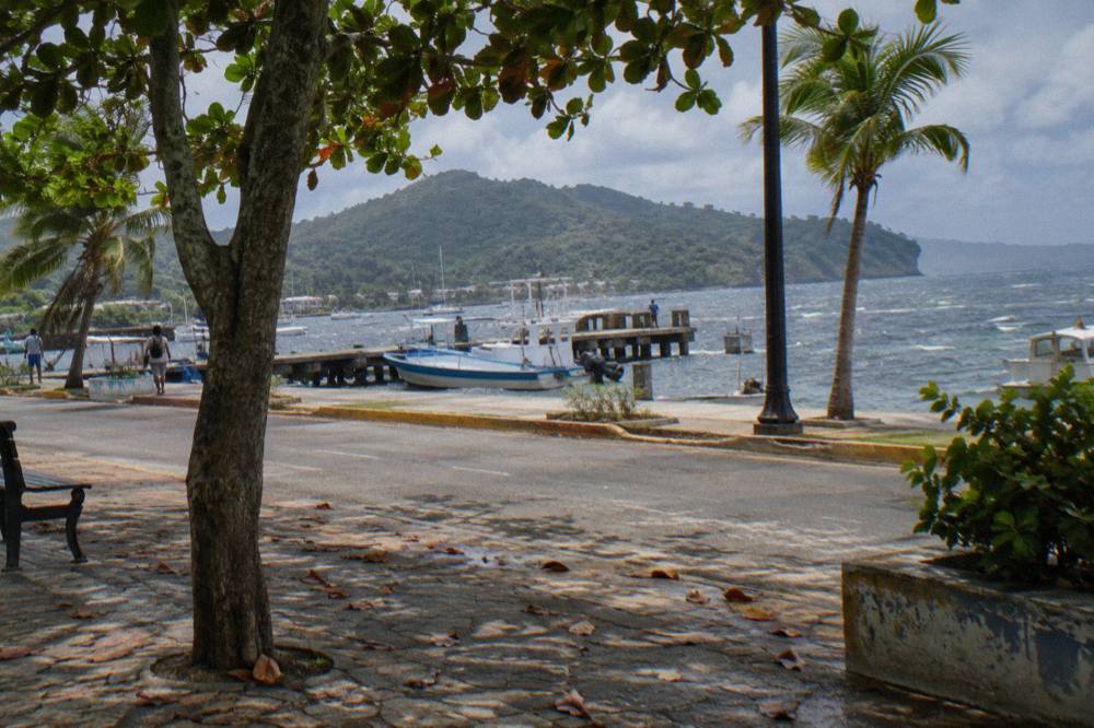 Waterfront promenade in Samaná town with palm trees and boats at the public pier