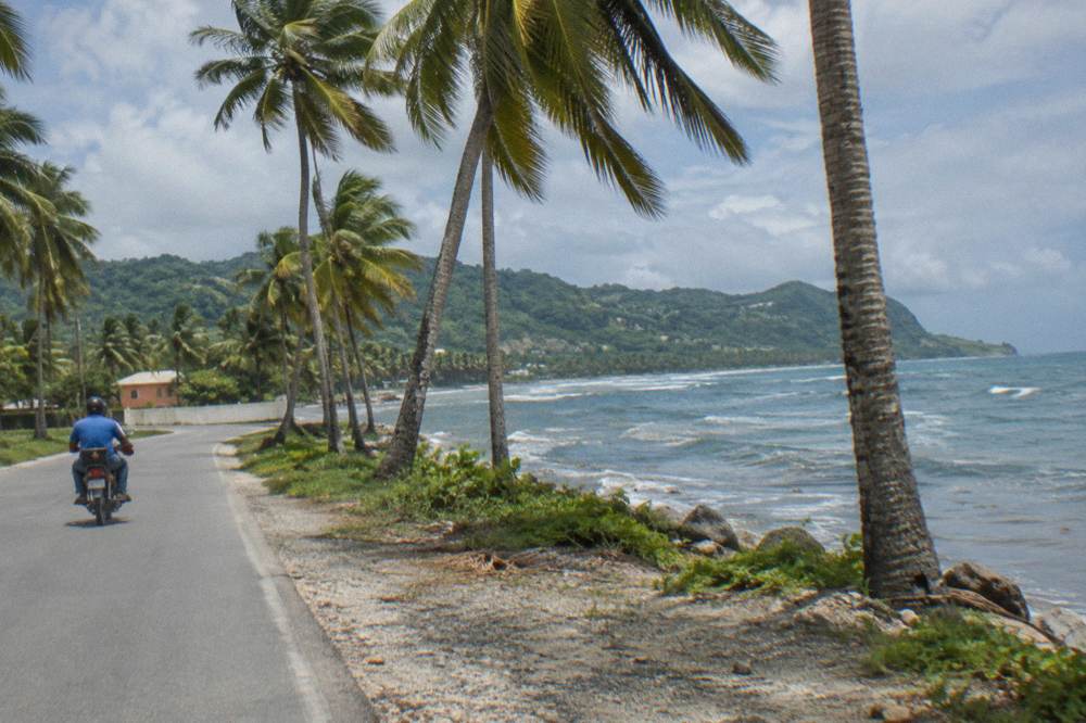 A tour minibus driving a coastal road through palm-covered hills toward Samana