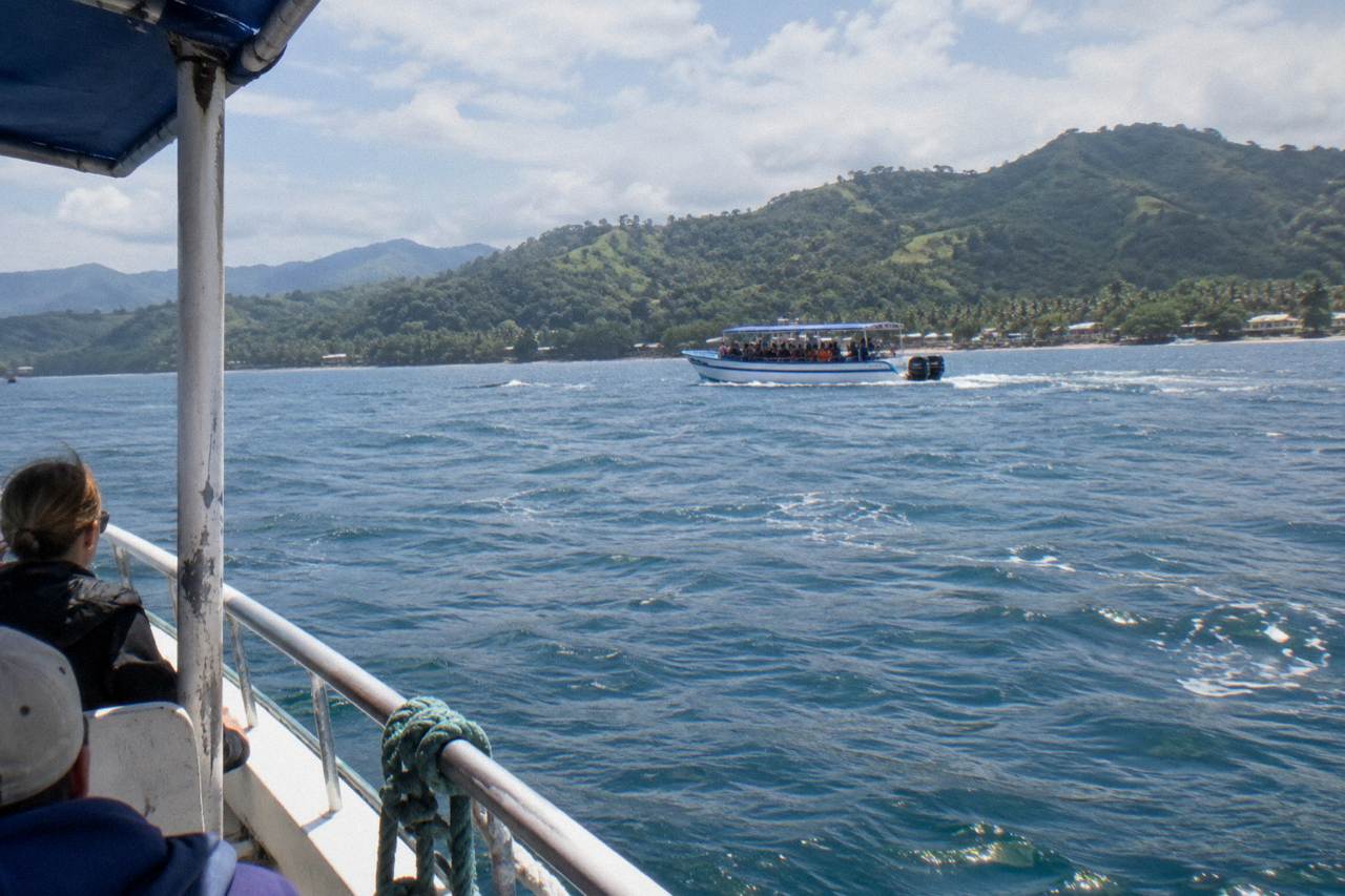 A whale watching boat crossing the calm blue water of Samana Bay with green hills behind