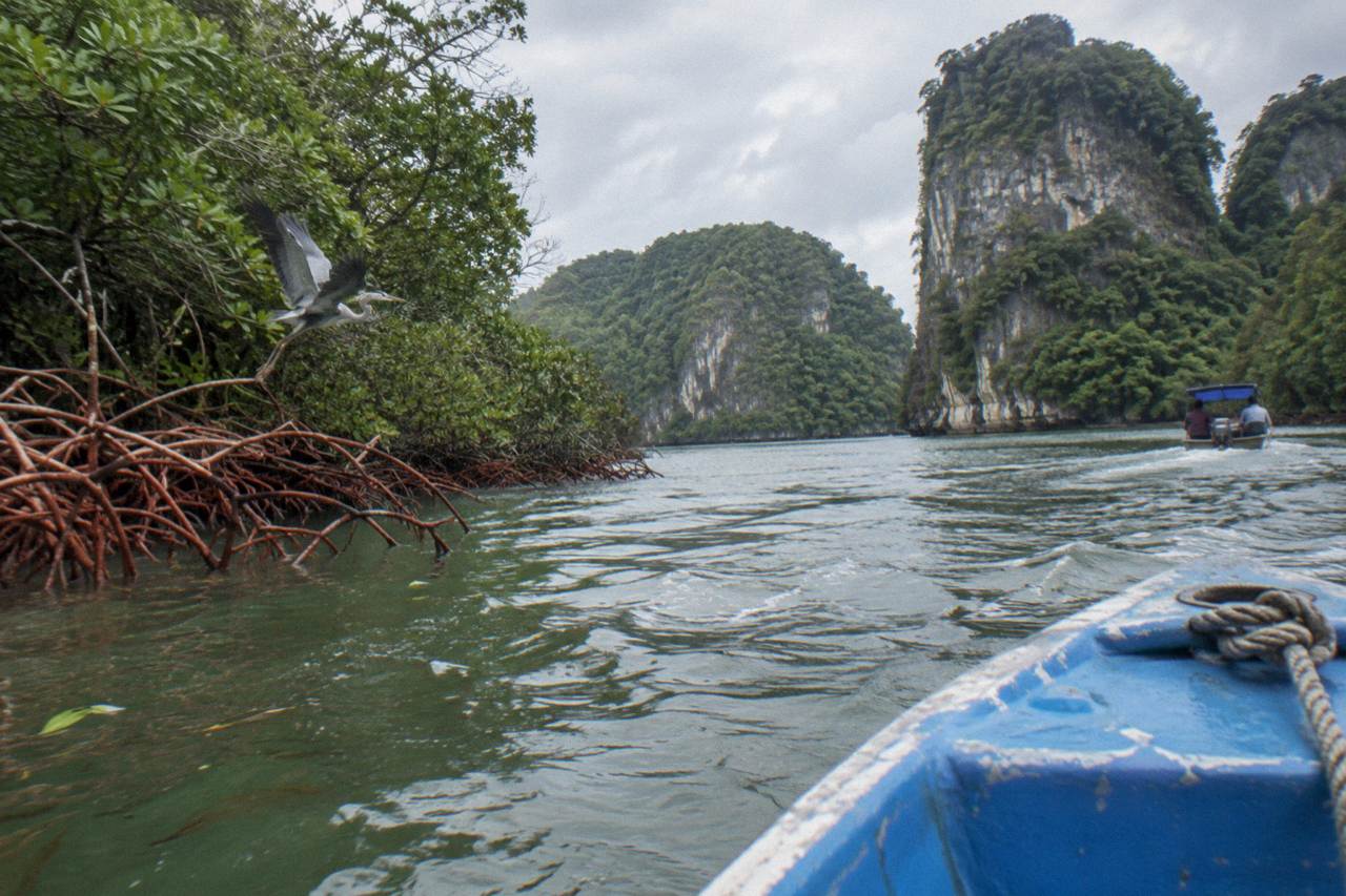 Mangrove channels and limestone islands of Los Haitises National Park seen from a small boat