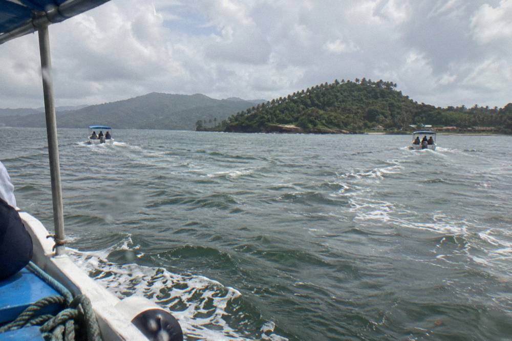 Small boats spaced widely apart on open water with a forested peninsula in the distance