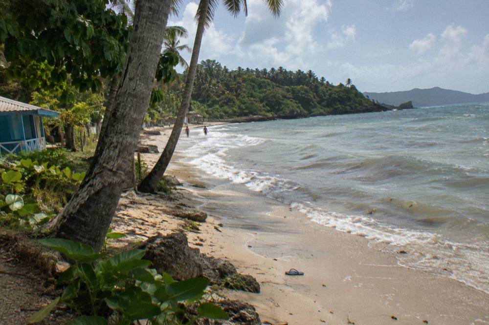 Empty palm-lined beach near Samaná under scattered clouds in warm daylight