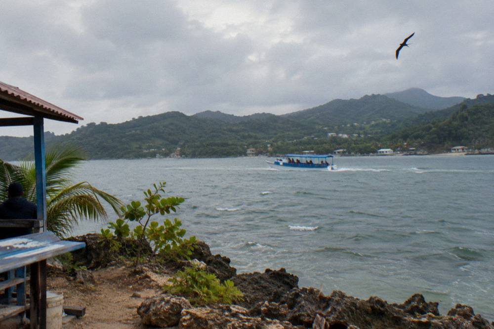 A tour boat crossing open water toward a hilly coastline in morning light.