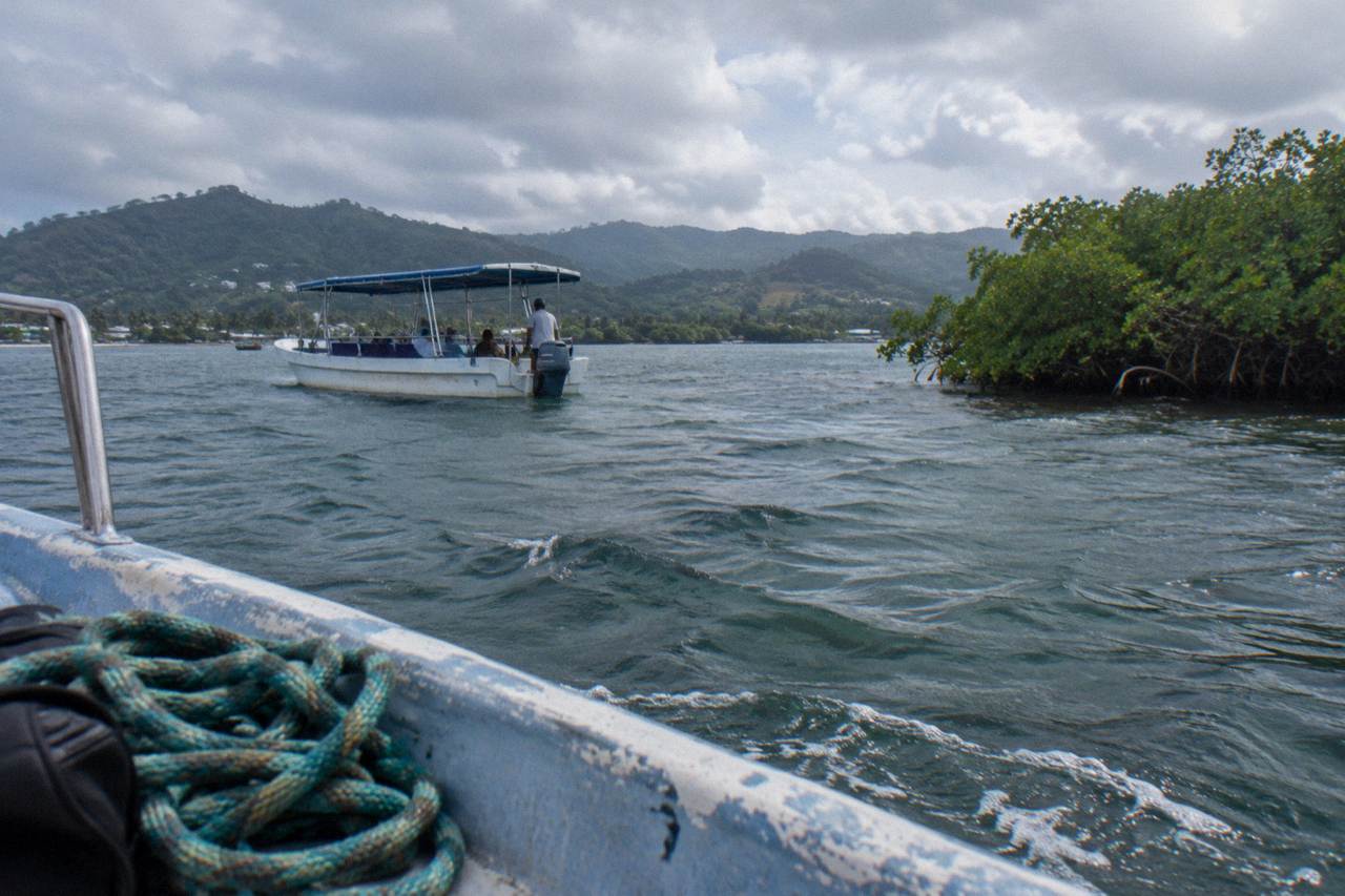 A whale-watching boat on calm water near a small green island in Samana Bay.