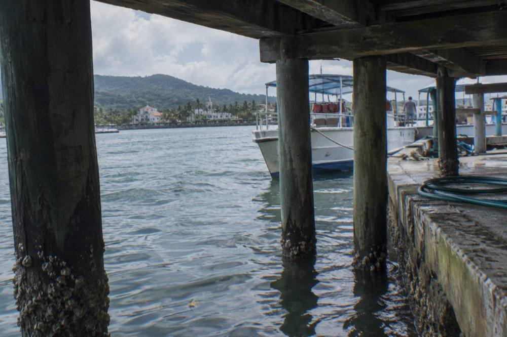 Whale watching boat at the Samana town dock on a still morning