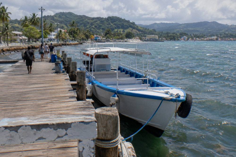 Whale watching boat moored at a wooden pier in Samana town