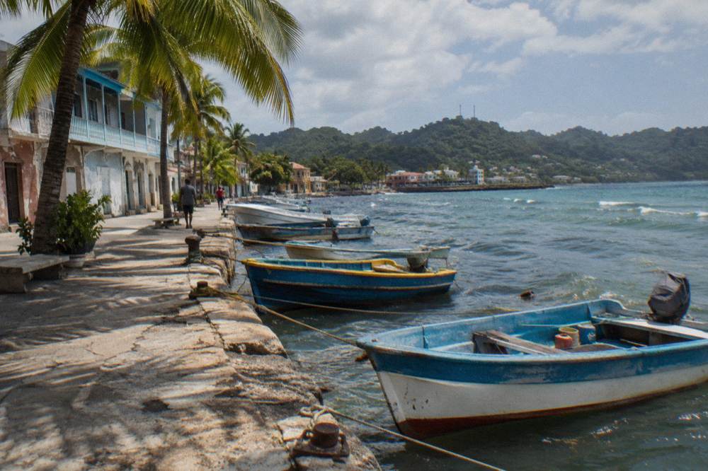 Coastal street with palm trees and small boats tied along a stone quay