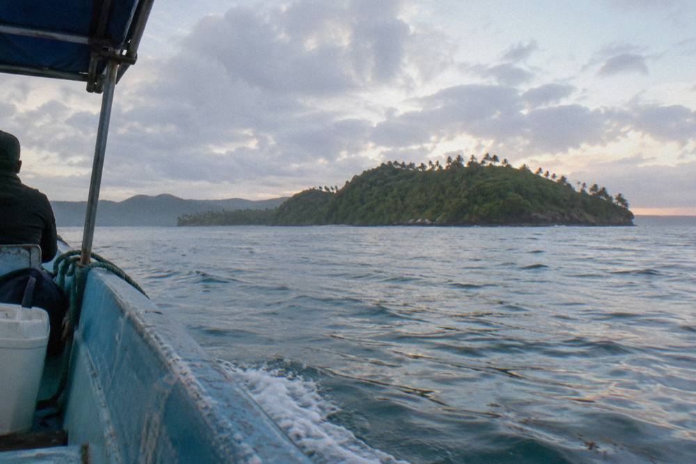A calm blue bay in early morning light with a wooded island in the distance