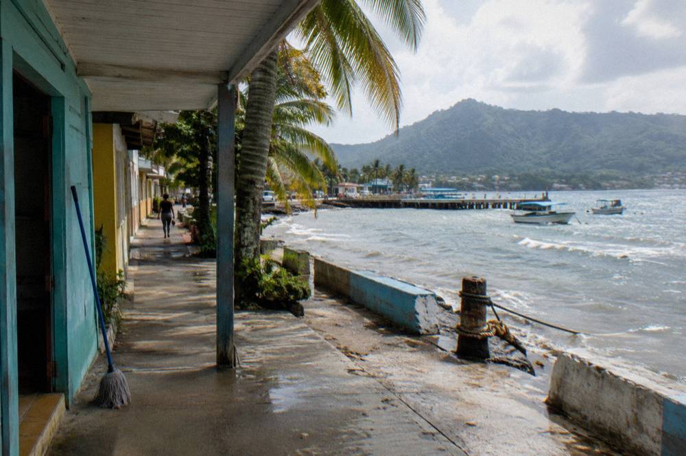 Palm-lined street with low colorful buildings in Samaná town near the waterfront