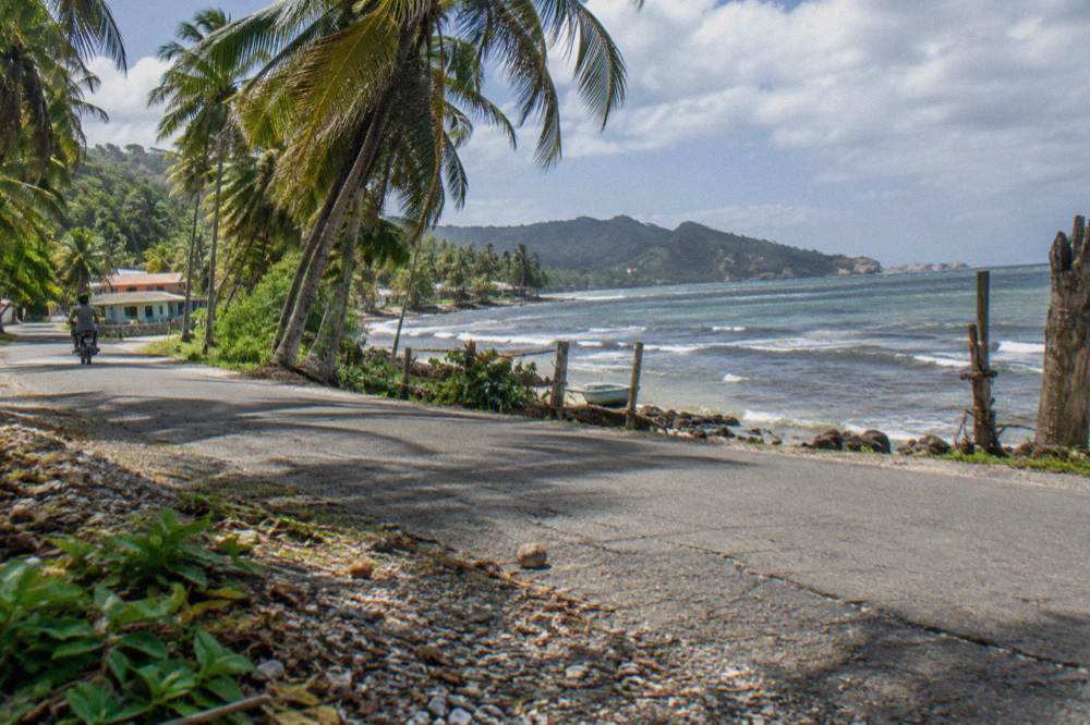 Open coastal road with palm trees heading toward the Samaná peninsula